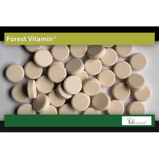Forest Vitamin Garcinia Cambogia Extract  300mg  100 Tabletek