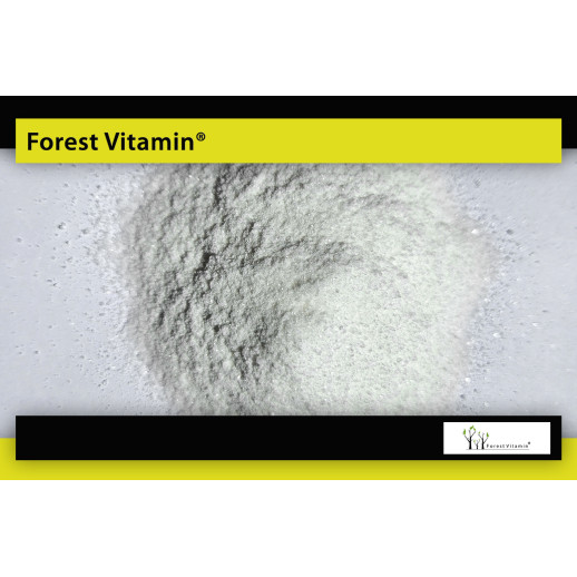 Forest Vitamin - Kwas L-Askorbinowy 250 gramów