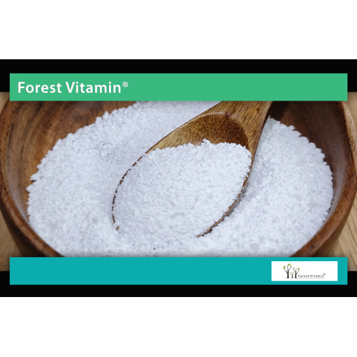 Forest Vitamin - L-Lizyna HCL 250g