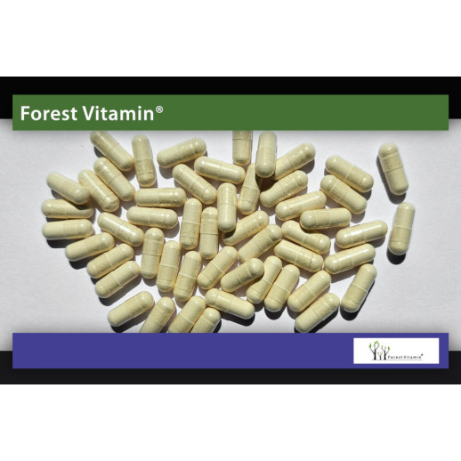 Forest Vitamin - Resveratrol 60 kapsułek