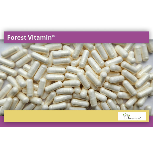 Maślan Sodu 300mg  100 Kapsułek HPMC od Forest Vitamin®
