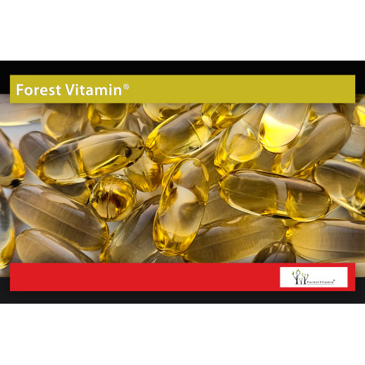 Strong Omega-3 1000mg  100kaps od Forest Vitamin®