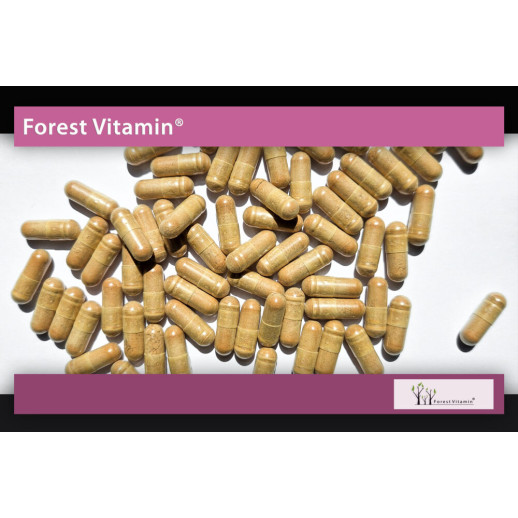 Ostropest Plamisty 10000mg  100 Kapsułek od Forest Vitamin®