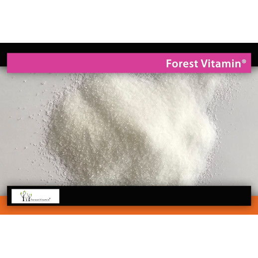 L-Karnityna 250g od Forest Vitamin