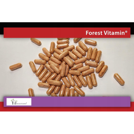 Forest Vitamin - Szafran 30mg 60 kapsułek