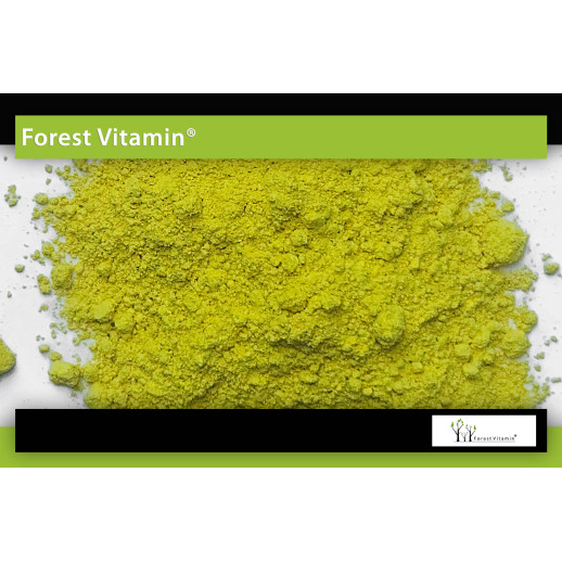 Kwercetyna 50g  w proszku od Forest Vitamin®
