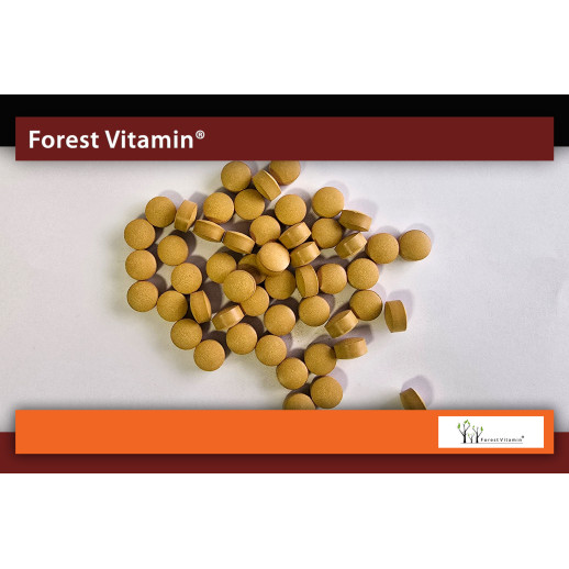 Berberys 500mg  100 Tabletek od Forest Vitamin®