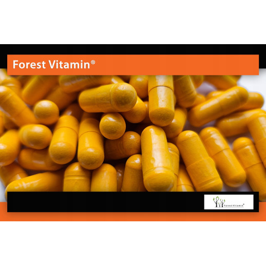 Kurkuma + Czarny Pieprz  100 Kapsułek od Forest Vitamin®