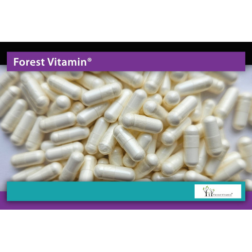 Forest Vitamin®  Glukozamina 2KCL 1000mg  100 Kapsułek