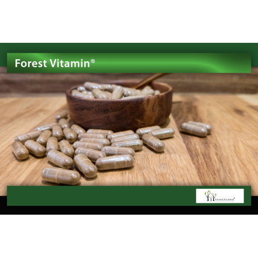 Gotu Kola 500mg 100 kapsułek od Forest Vitamin