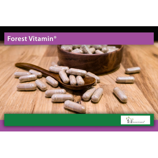 Niepokalanek 500mg 100 kapsułek od Forest Vitamin