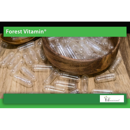 Puste Kapsułki HPMC 500szt od Forest Vitamin