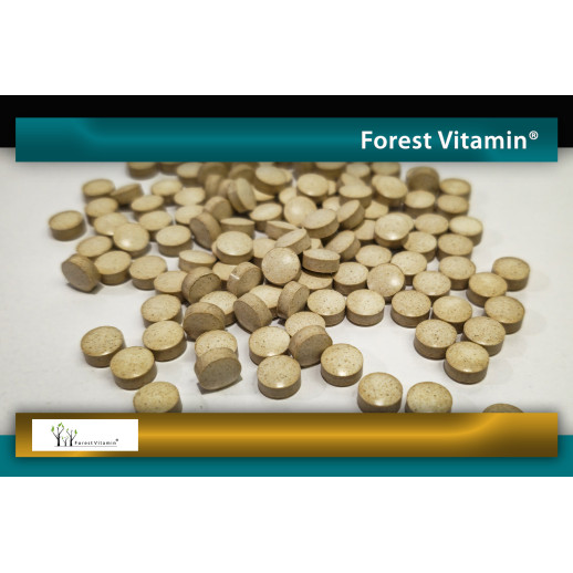 KELP Naturalna Jodyna 200mg  250 Tabletek od Forest Vitamin®