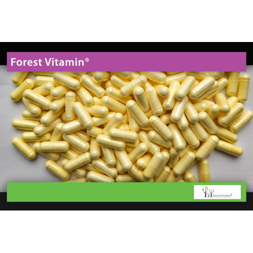 Forest Vitamin®- KWAS ALFA LIPONOWY  600mg  60 Kapsułek