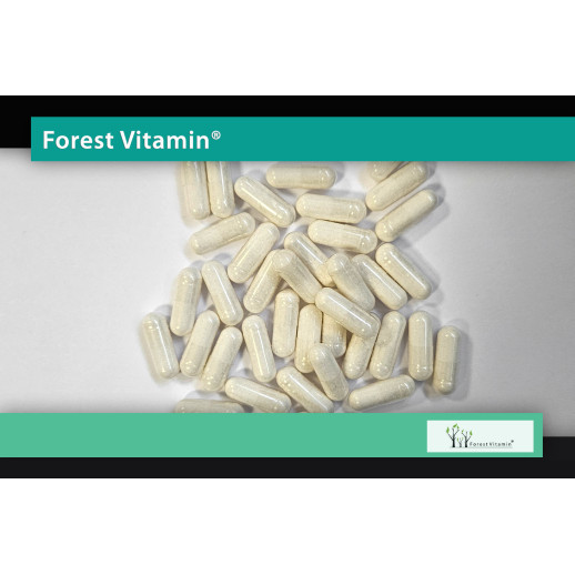 Forest Vitamin - Dwuwinian Choliny 500mg 100 kapsułek