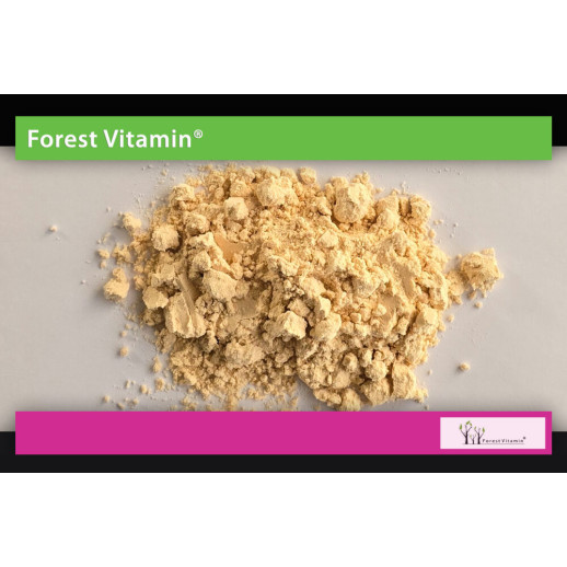 Forest Vitamin - Izolat Białka Grochu 85% 500g
