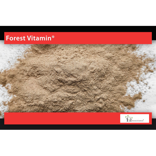 Forest Vitamin®  Naturalna Witamina C z Dzikiej Róży  Proszek