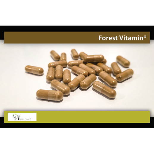 Forest Vitamin - Ekstrakt z Grzyba Reishi 60 kapsułek