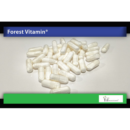 Forest Vitamin - Niacynamid 500mg 100 kapsułek