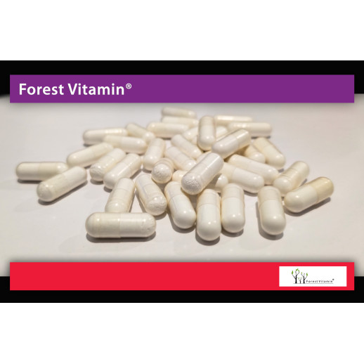 Forest Vitamin - Ca-AKG 500mg 60 kapsułek