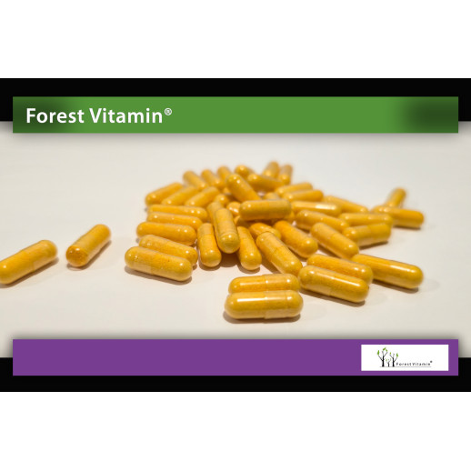 Forest Vitamin - B complex 60 kapsułek