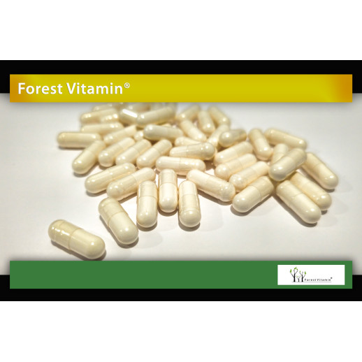 Forest Vitamin - Bromelaina 500mg 100 kapsułek
