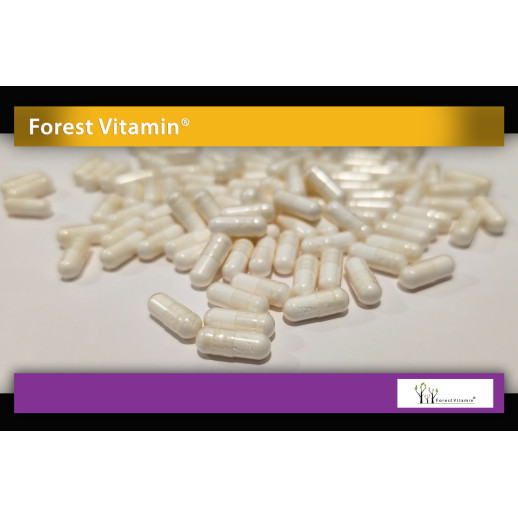 Forest Vitamin - Witamina B1 Tiamina 100 kapsułek