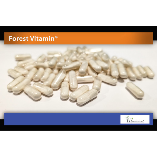 Forest Vitamin - Cytrynian Cynku 15mg 100 kapsułek