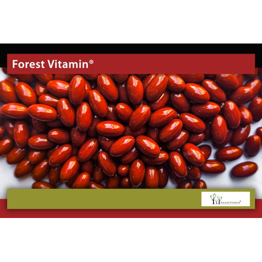 Forest Vitamin®  Koenzym Q10 100mg  Kapsułki Żelowe