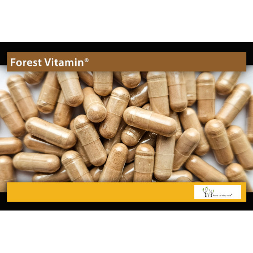 Forest Vitamin - Różeniec Górski 100mg 100 kapsułek