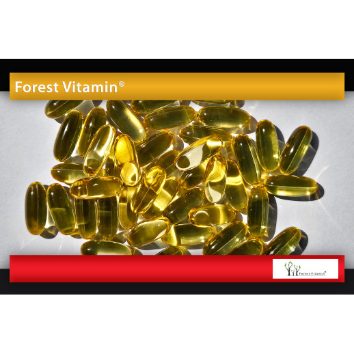 Forest Vitamin  OMEGA 3-6-9 1000mg  100 Kapsułek Softgel