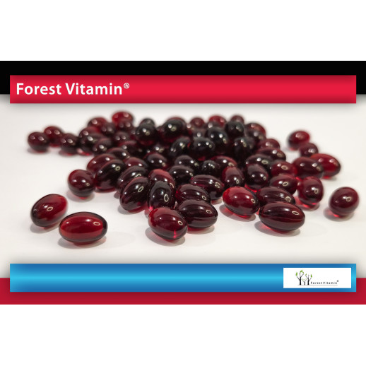 Antarktyczny Olej z Kryla 500mg   60 Kapsułek SoftGel od Forest Vitamin®