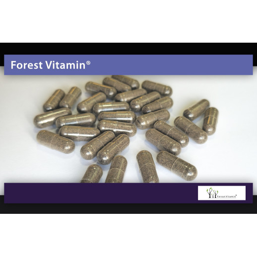Forest Vitamin - Czarnuszka 500mg 60 kapsułek