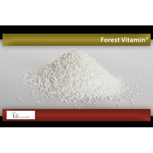 Forest Vitamin - Betaina TMG 50 gramów