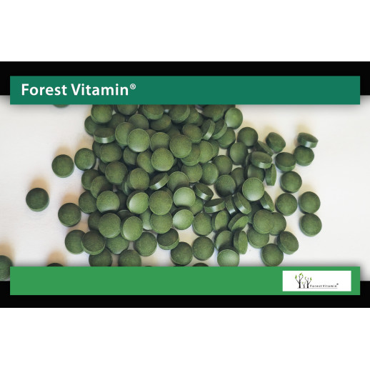 Forest Vitamin - Chlorella Naturalna 250mg 1000 tabletek