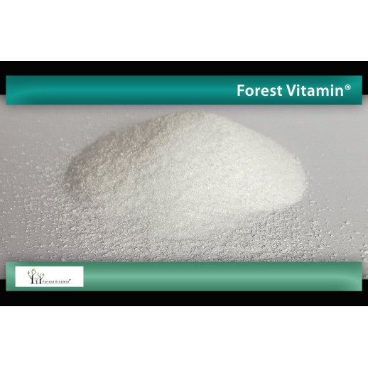 Forest Vitamin - Dwuwinian choliny 200g