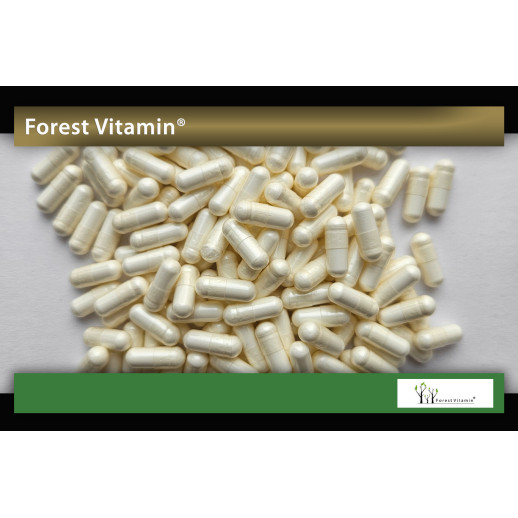Forest Vitamin - Czosnek Ekstrakt 100mg 60 kapsułek