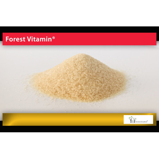 Forest Vitamin - Żelatyna Wołowa Spożywcza