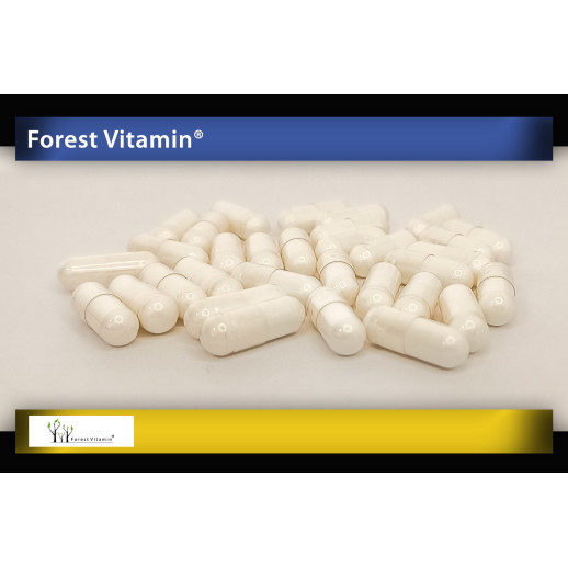 Forest Vitamin - Tudca 500mg 60 kapsułek