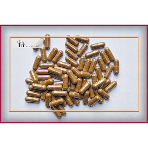 Forest Vitamin - Mastika 500mg 60 kapsułek