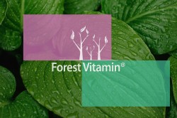 LOGO-2-KWAS-FOLIOWY-600µg-100-Capsules-JPEG.jpg