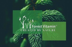 Forest-Vitamin-1-SULFORAPHANE-400-µg-100-Capsules-JPEG.jpg