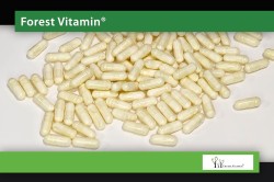 GRAFIKA-4-SULFORAPHANE-400-µg-100-Capsules-JPEG-1.jpg