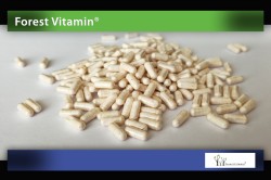 GRAFIKA-1-Witamina-B12-1000µg-Kapsulki-HPMC-JPEG.jpg