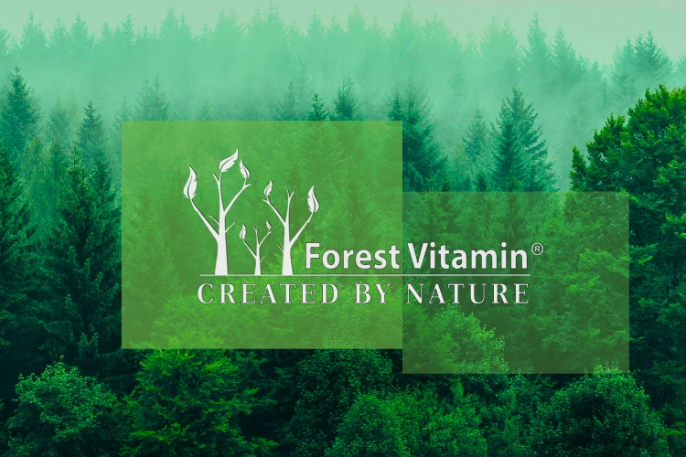 Forest-Vitamin-1-K2-MK-7-200µg-100-i-250-Capsules-FRONT-JPEG.jpg