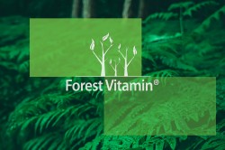 Forest-Vitamin-2-K2-MK-7-200µg-100-i-250-Capsules-Back-JPEG.jpg